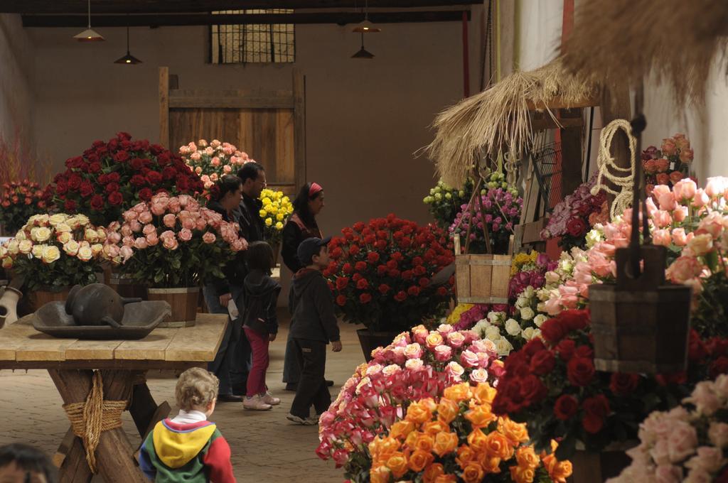 Molino San Juan Bed & Breakfast Cayambe Eksteriør bilde