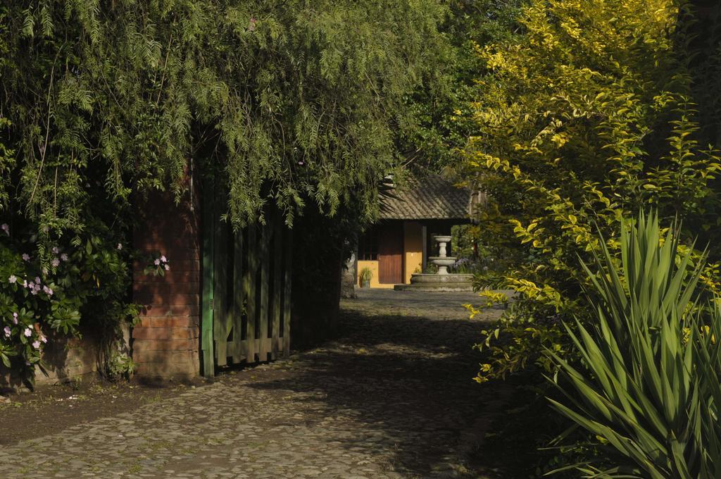 Molino San Juan Bed & Breakfast Cayambe Eksteriør bilde