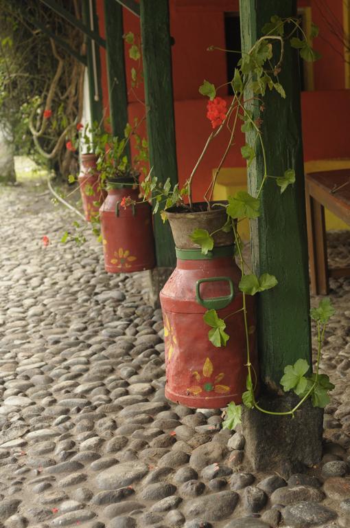 Molino San Juan Bed & Breakfast Cayambe Eksteriør bilde