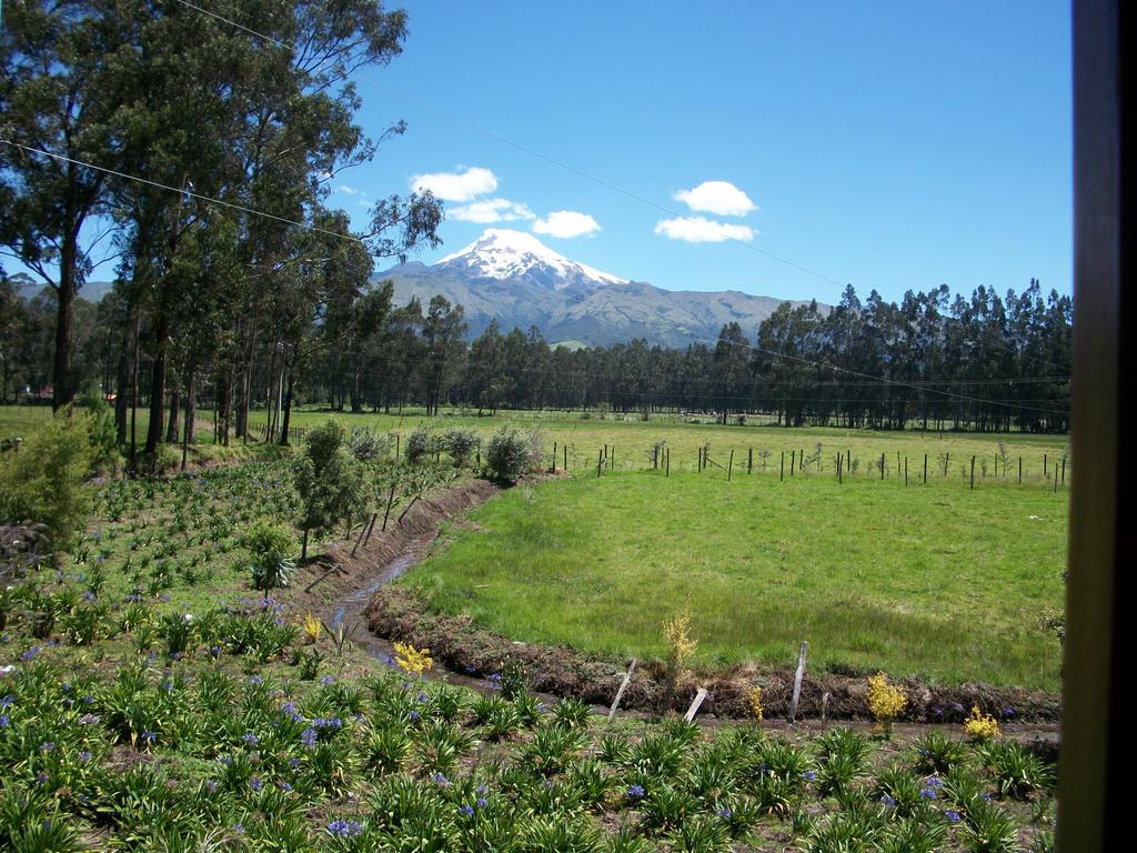Molino San Juan Bed & Breakfast Cayambe Eksteriør bilde